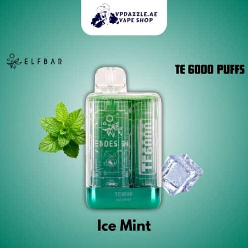 elfbar te Ice Mint 6000 puffs