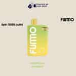 Fummo Spin tropical mango 10000 Puffs