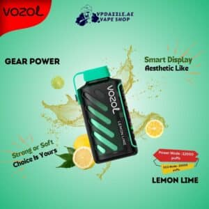 vozol gear power Grape Ice 20000