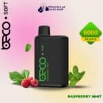 Beco soft Raspberry Mint 6000 puffs