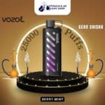 Vozol Gear Shisha Berry Mint 25000 puffs