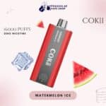 Cokii Watermelon Ice 16000 Puffs
